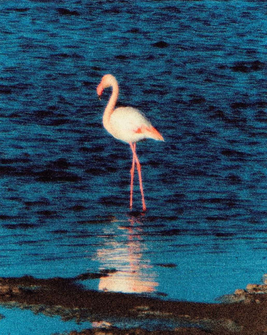 Regain Magazine |  Jun. 23