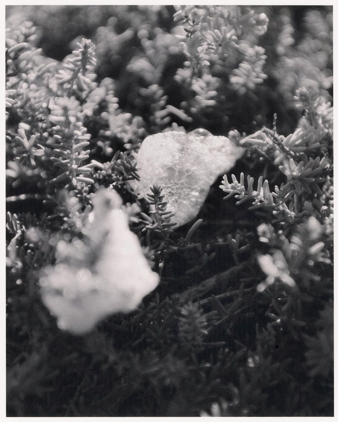 Regain Magazine |  Jun. 23