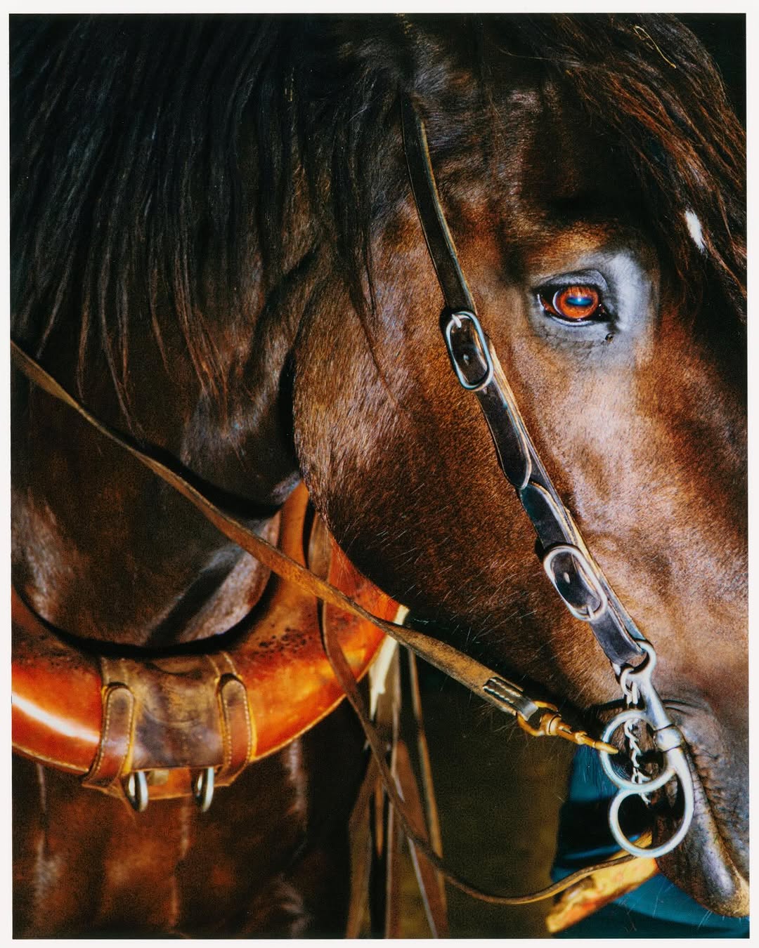 Thomas Chéné X Regain Magazine Apr. 26