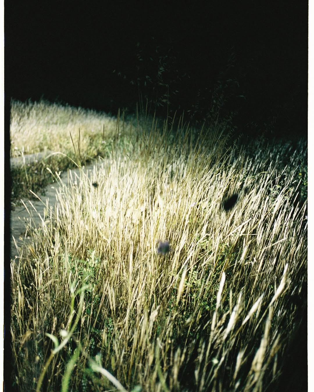 Laia Benavides Jul. 25