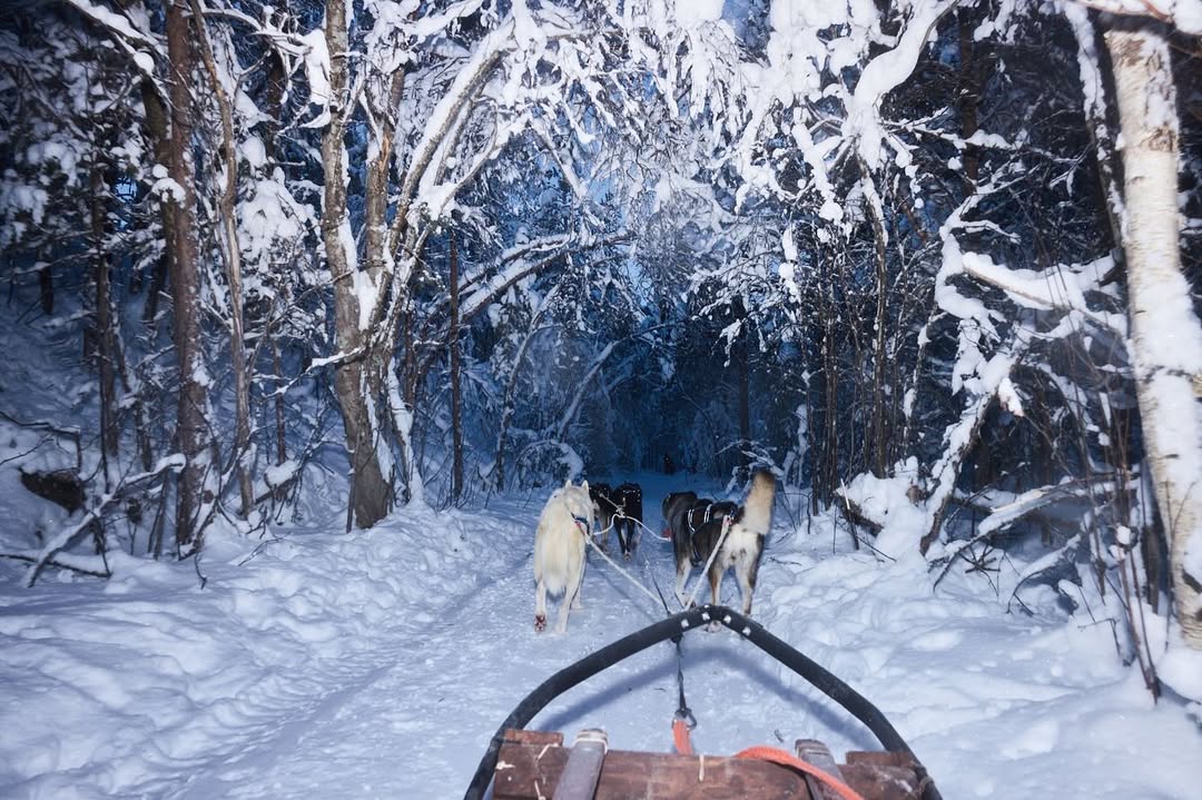 Laia Benavides Dec. 25