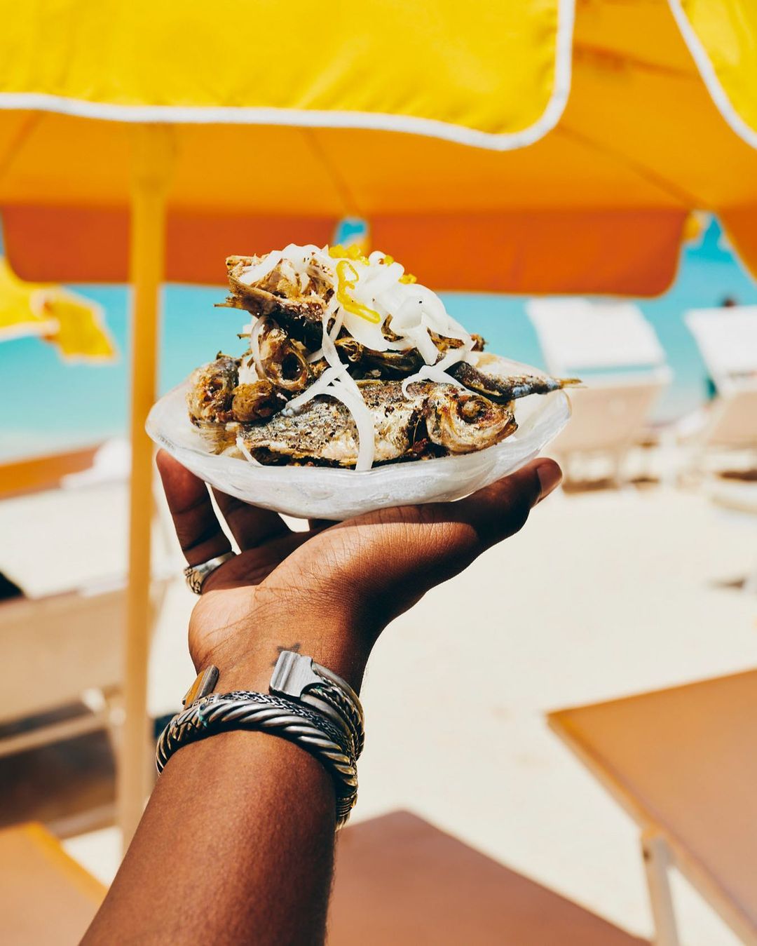 Palm Heights |  Jan. 23