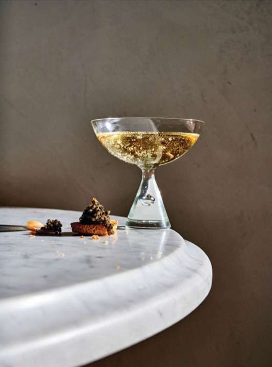 Pointy Snout Caviar |  Aug. 23