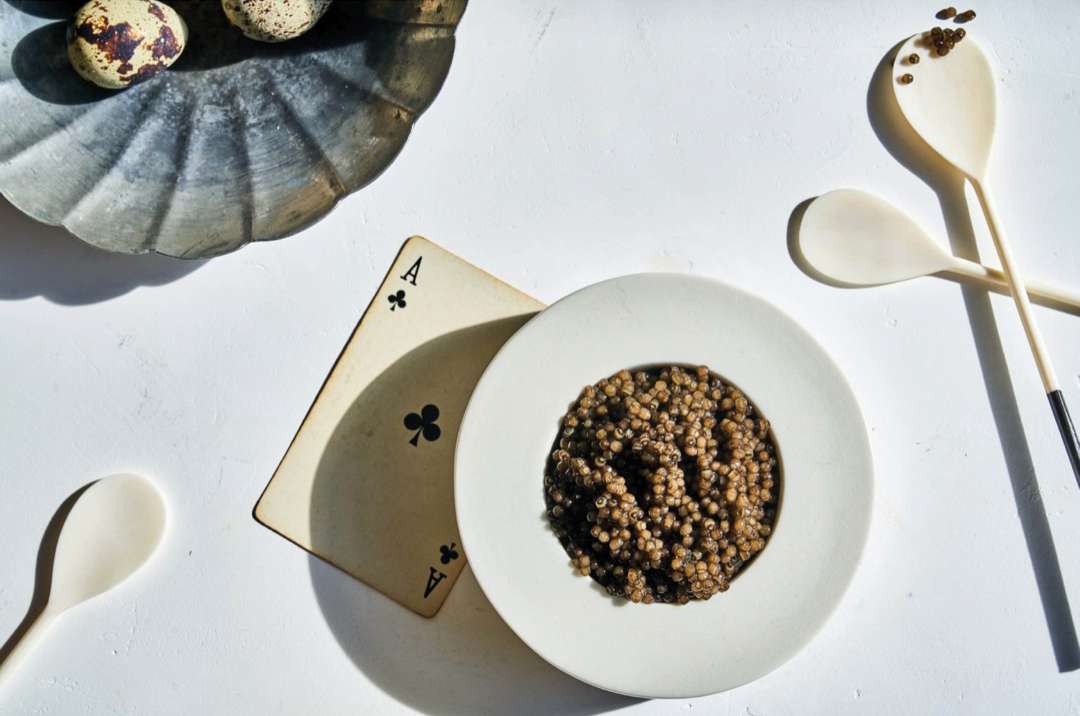 Pointy Snout Caviar |  Aug. 23