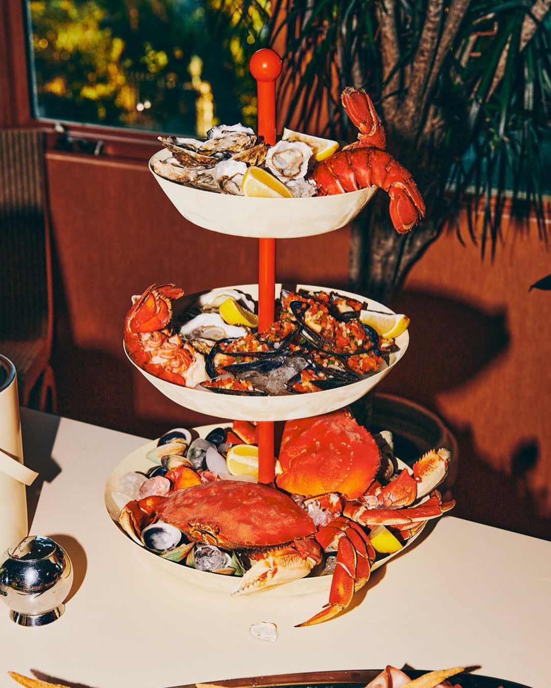 Molly Baz |  Oct. 23