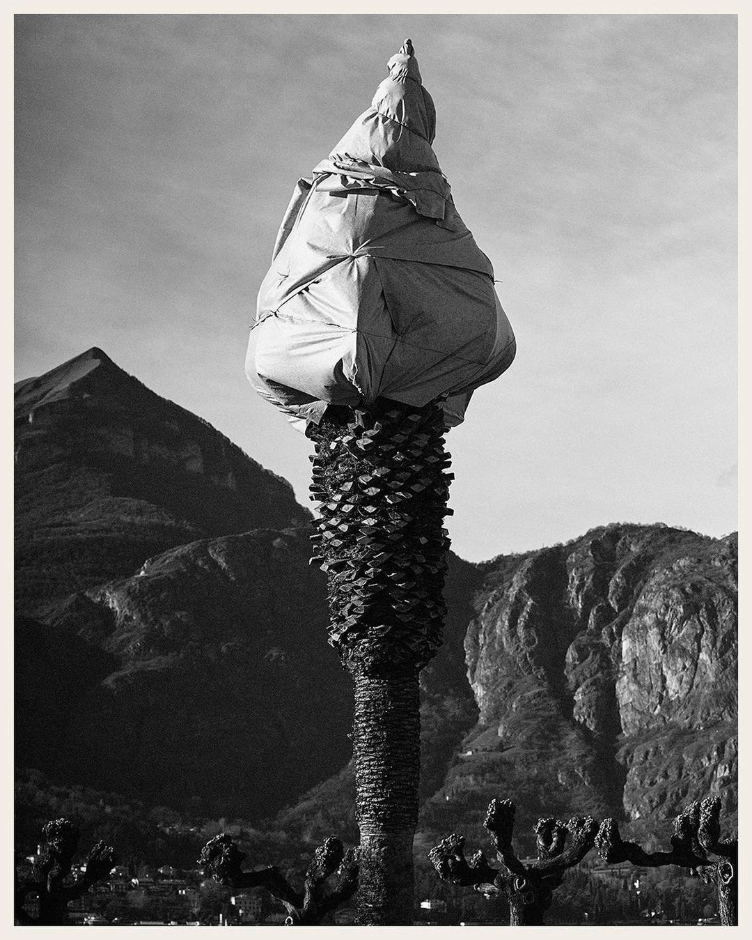 Libraryman |  Nov. 23