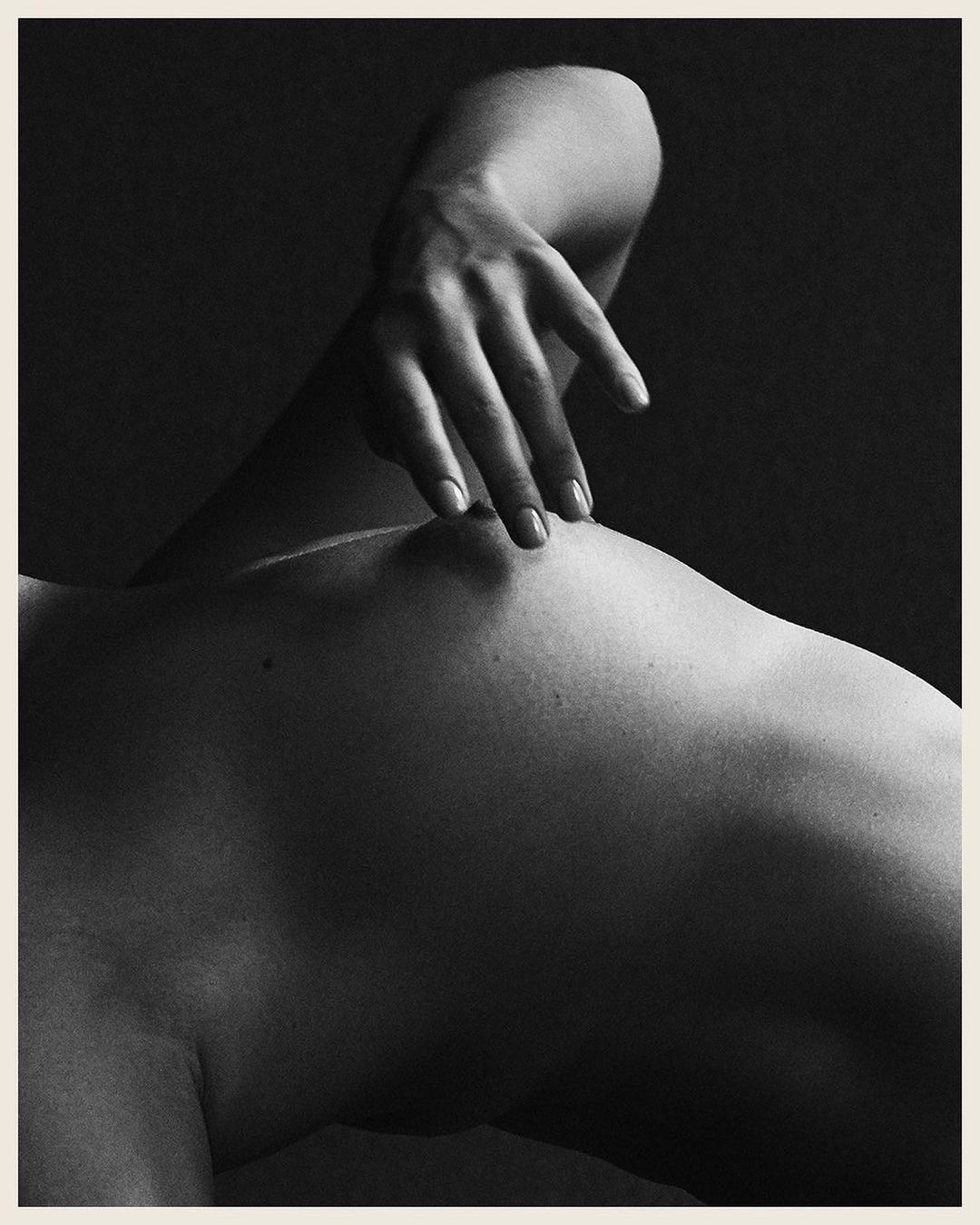 Libraryman |  Nov. 23