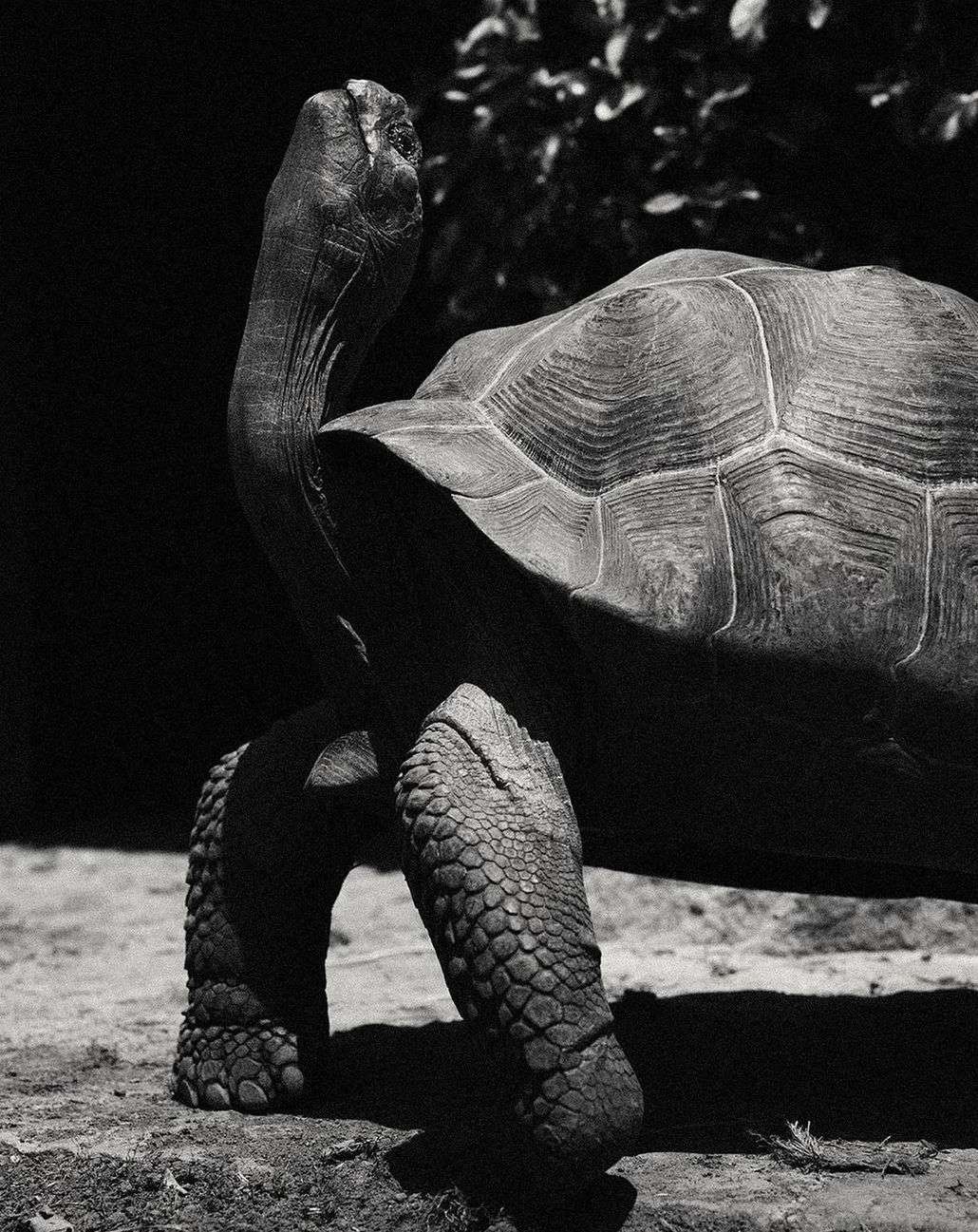 Libraryman |  Nov. 23