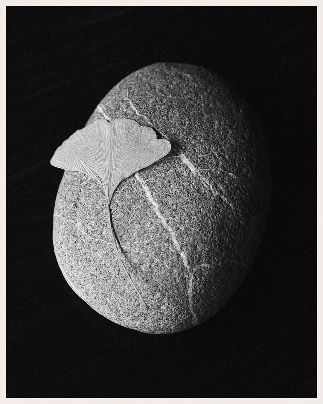 Libraryman |  Nov. 23