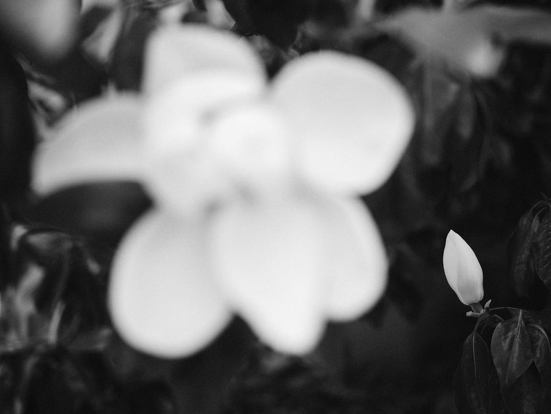 1% for the Planet |  Dec. 23