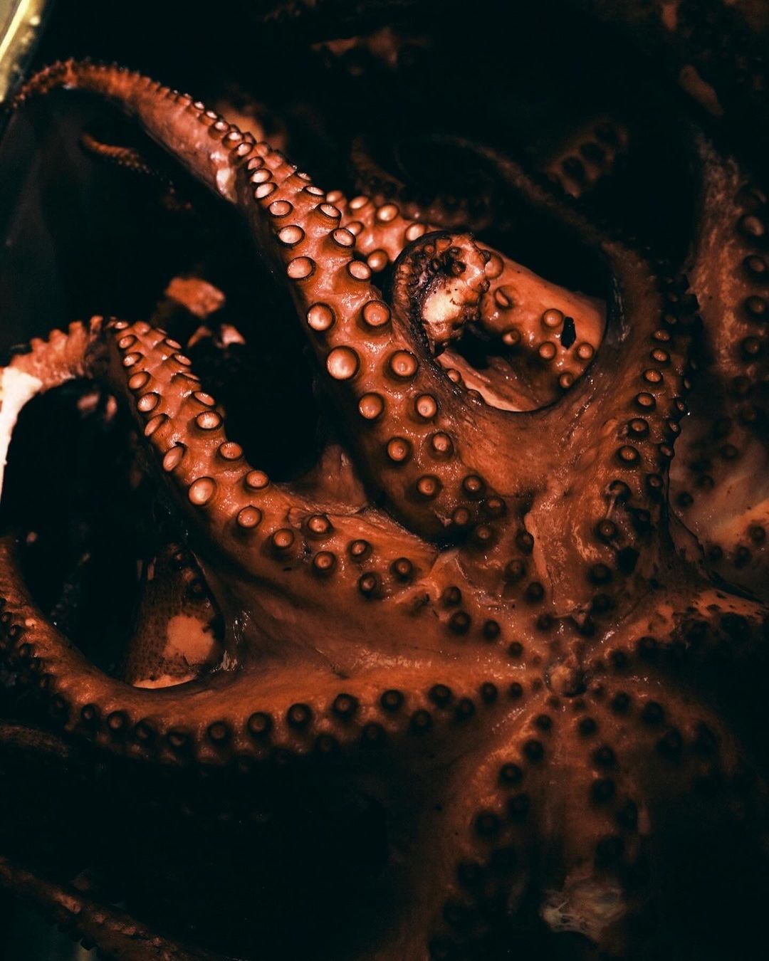 The New York Times |  Mar. 24