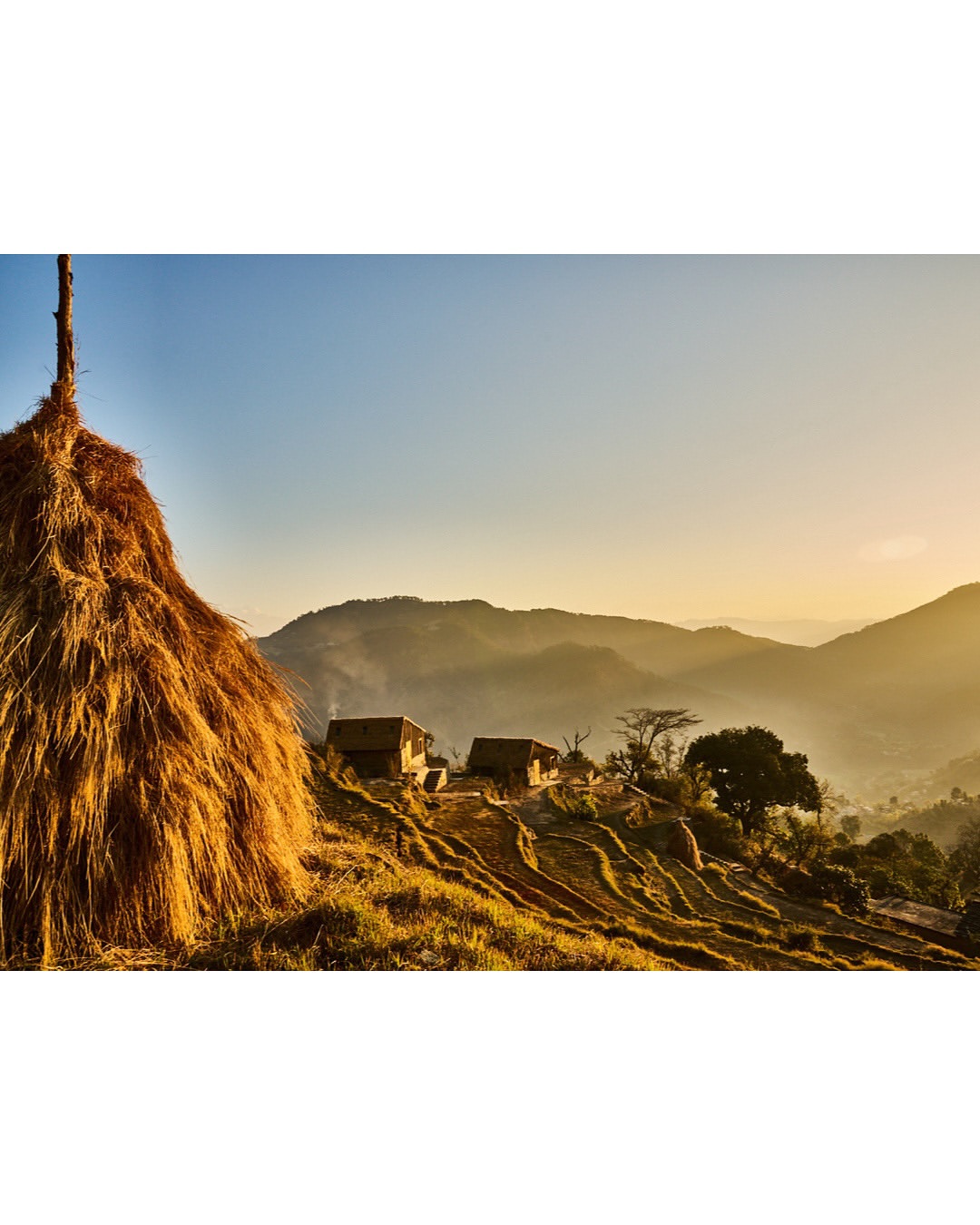 Gentl and Hyers (@gentandhyers) photograph Shakti Panchachuli Village House and Shakti Prana in Kumaon - two new properties at @shaktihimalaya for @fthtsi 
⠀⠀⠀⠀⠀⠀⠀⠀⠀
Words by @mariashollenbarger
⠀⠀⠀⠀⠀⠀⠀⠀⠀
#GentlandHyers #Photographer #FTHTSI #ShaktiHimalaya