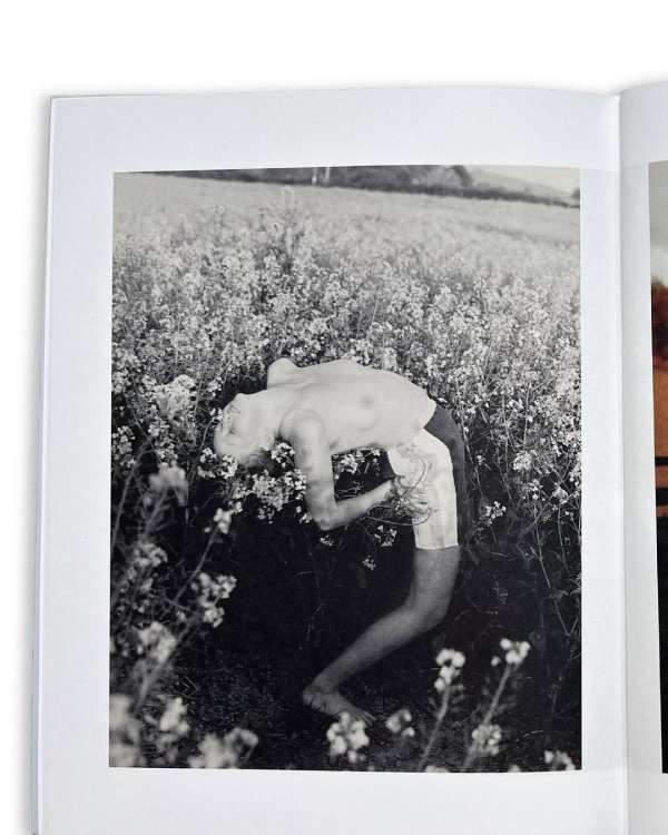 Set over a summer in rural Devon, I’d like ...