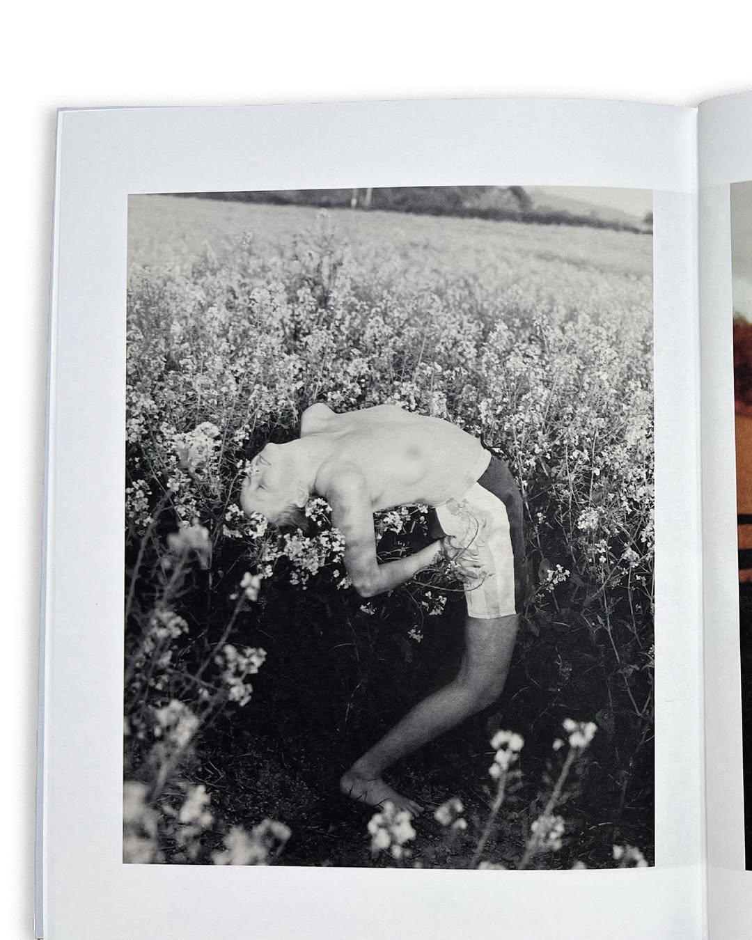 Set over a summer in rural Devon, I’d like to get to know you is photographer Francesca Allen’s (@francesca_allen_) tender exploration of her evolving relationship with her younger sister, Alida. What unfolds is a portrait of hesitations and revelations, a push and pull that speaks to the complexity of familial bonds.
⠀⠀⠀⠀⠀⠀⠀⠀⠀
In sun-soaked images, Francesca captures moments of tension and ease, intimacy and distance, as the sisters navigate shifting dynamics and self-discovery.
⠀⠀⠀⠀⠀⠀⠀⠀⠀
This book marks Francesca’s first photo series featuring her sister, Alida. Since its 2022 release, she has continued to document Alida across new locations and life stages.
⠀⠀⠀⠀⠀⠀⠀⠀⠀
#francescaallen #photographer #alida #book