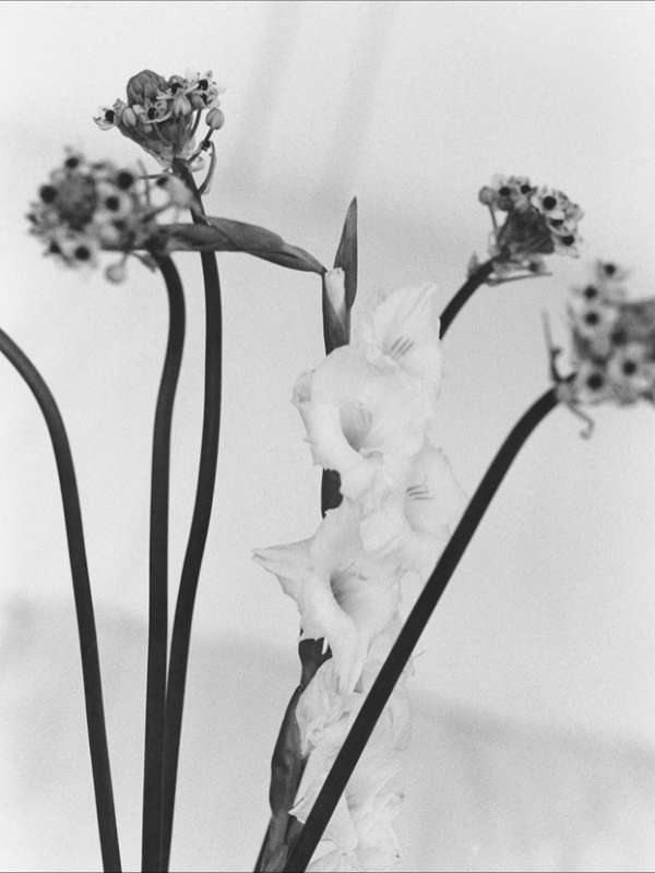 We are thrilled to welcome photographer Xav...