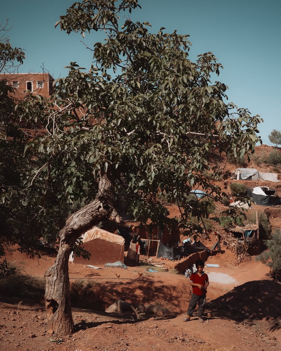 Finn Beales (@finn) photographs his travels through the Atlas Mountains in Morocco.
⠀⠀⠀⠀⠀⠀⠀⠀⠀
In his own words, Finn reflects on the experience, the days spent astride a powerful Arabian-Berber stallion, tracing centuries-old paths and navigating the mountain’s shifting terrain.
⠀⠀⠀⠀⠀⠀⠀⠀⠀
“It is a world of vivid colour, warm smiles, and unbroken rhythm. It is travel in its purest form, and feels far removed from the curated ‘wild’ aesthetic so often commoditised and sold back to us. This is truly wild — raw, humbling, and profoundly life-affirming.”
—Finn Beales
⠀⠀⠀⠀⠀⠀⠀⠀⠀
#FinnBeales #Photographer #Morocco #AtlasMountains