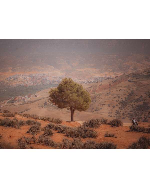 Finn Beales (@finn) photographs his travels...