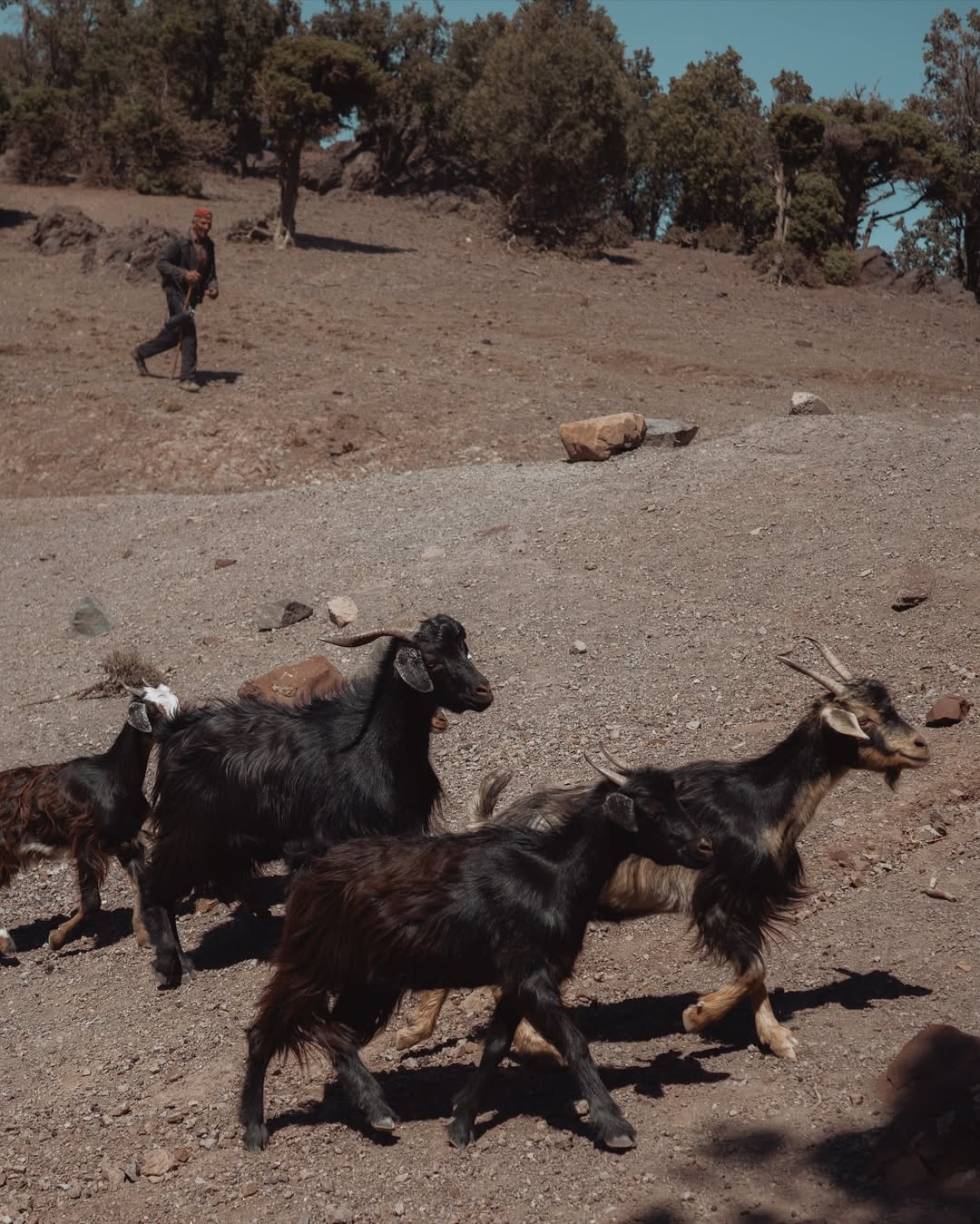 Finn Beales (@finn) photographs his travels through the Atlas Mountains in Morocco.
⠀⠀⠀⠀⠀⠀⠀⠀⠀
In his own words, Finn reflects on the experience, the days spent astride a powerful Arabian-Berber stallion, tracing centuries-old paths and navigating the mountain’s shifting terrain.
⠀⠀⠀⠀⠀⠀⠀⠀⠀
“It is a world of vivid colour, warm smiles, and unbroken rhythm. It is travel in its purest form, and feels far removed from the curated ‘wild’ aesthetic so often commoditised and sold back to us. This is truly wild — raw, humbling, and profoundly life-affirming.”
—Finn Beales
⠀⠀⠀⠀⠀⠀⠀⠀⠀
#FinnBeales #Photographer #Morocco #AtlasMountains