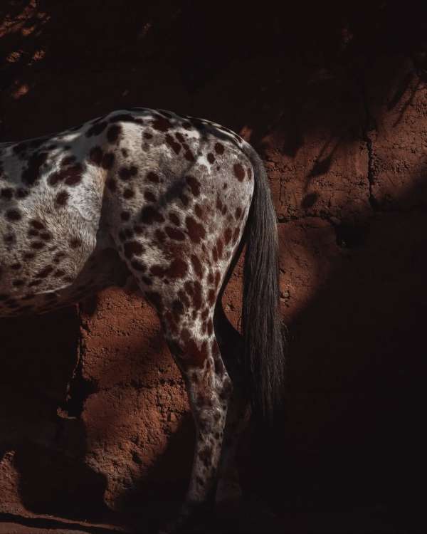 Finn Beales (@finn) photographs his travels...