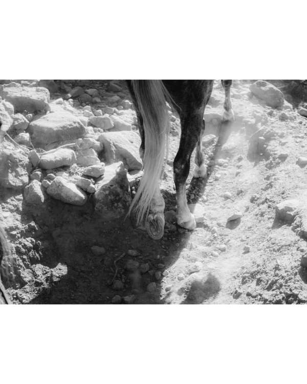 Finn Beales (@finn) photographs his travels...