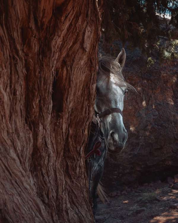 Finn Beales (@finn) photographs his travels...