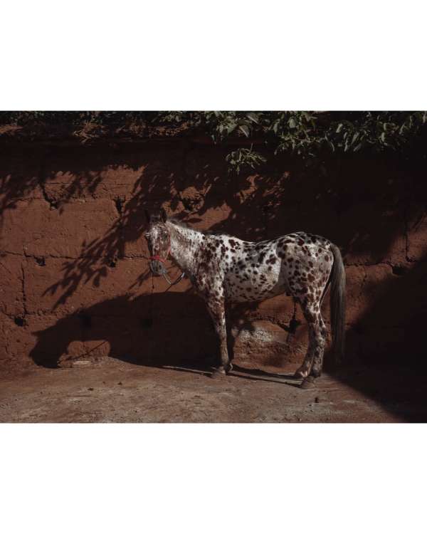 Finn Beales (@finn) photographs his travels...