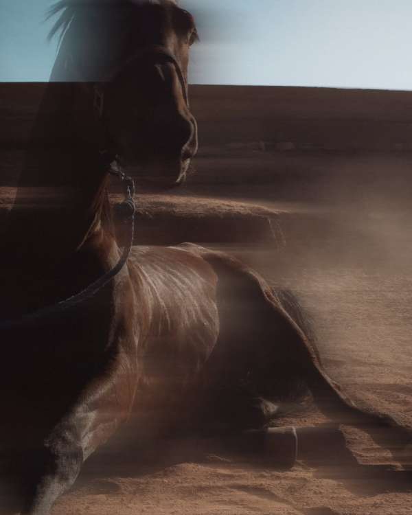 Finn Beales (@finn) photographs his travels...