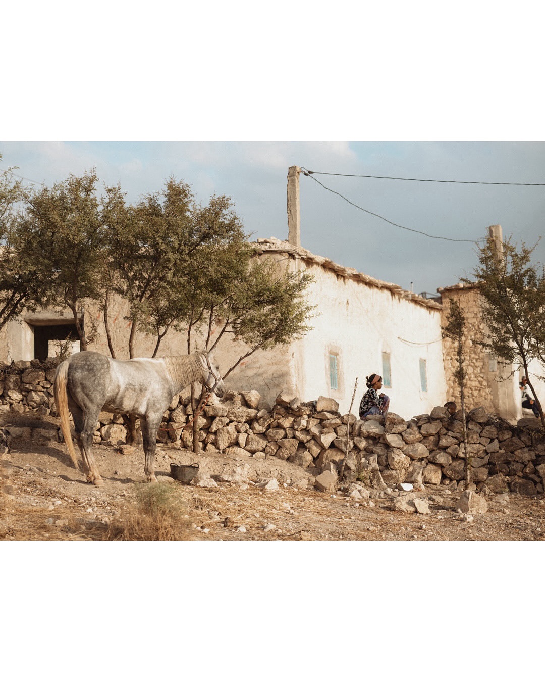 Finn Beales (@finn) photographs his travels through the Atlas Mountains in Morocco.
⠀⠀⠀⠀⠀⠀⠀⠀⠀
In his own words, Finn reflects on the experience, the days spent astride a powerful Arabian-Berber stallion, tracing centuries-old paths and navigating the mountain’s shifting terrain.
⠀⠀⠀⠀⠀⠀⠀⠀⠀
“It is a world of vivid colour, warm smiles, and unbroken rhythm. It is travel in its purest form, and feels far removed from the curated ‘wild’ aesthetic so often commoditised and sold back to us. This is truly wild — raw, humbling, and profoundly life-affirming.”
—Finn Beales
⠀⠀⠀⠀⠀⠀⠀⠀⠀
#FinnBeales #Photographer #Morocco #AtlasMountains