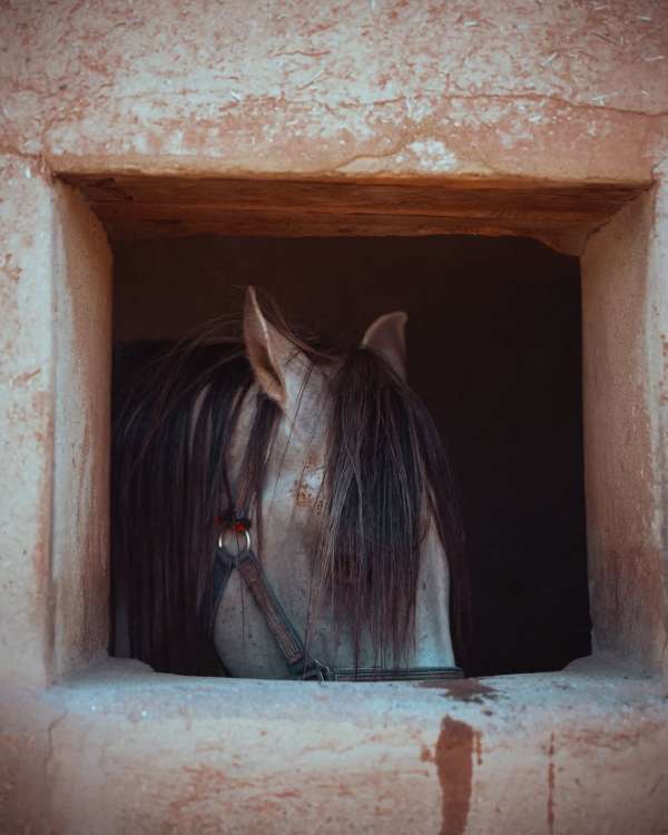 Finn Beales (@finn) photographs his travels...