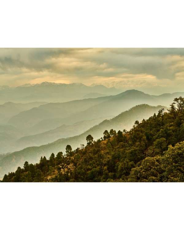 Gentl and Hyers (@gentlandhyers) photograph...