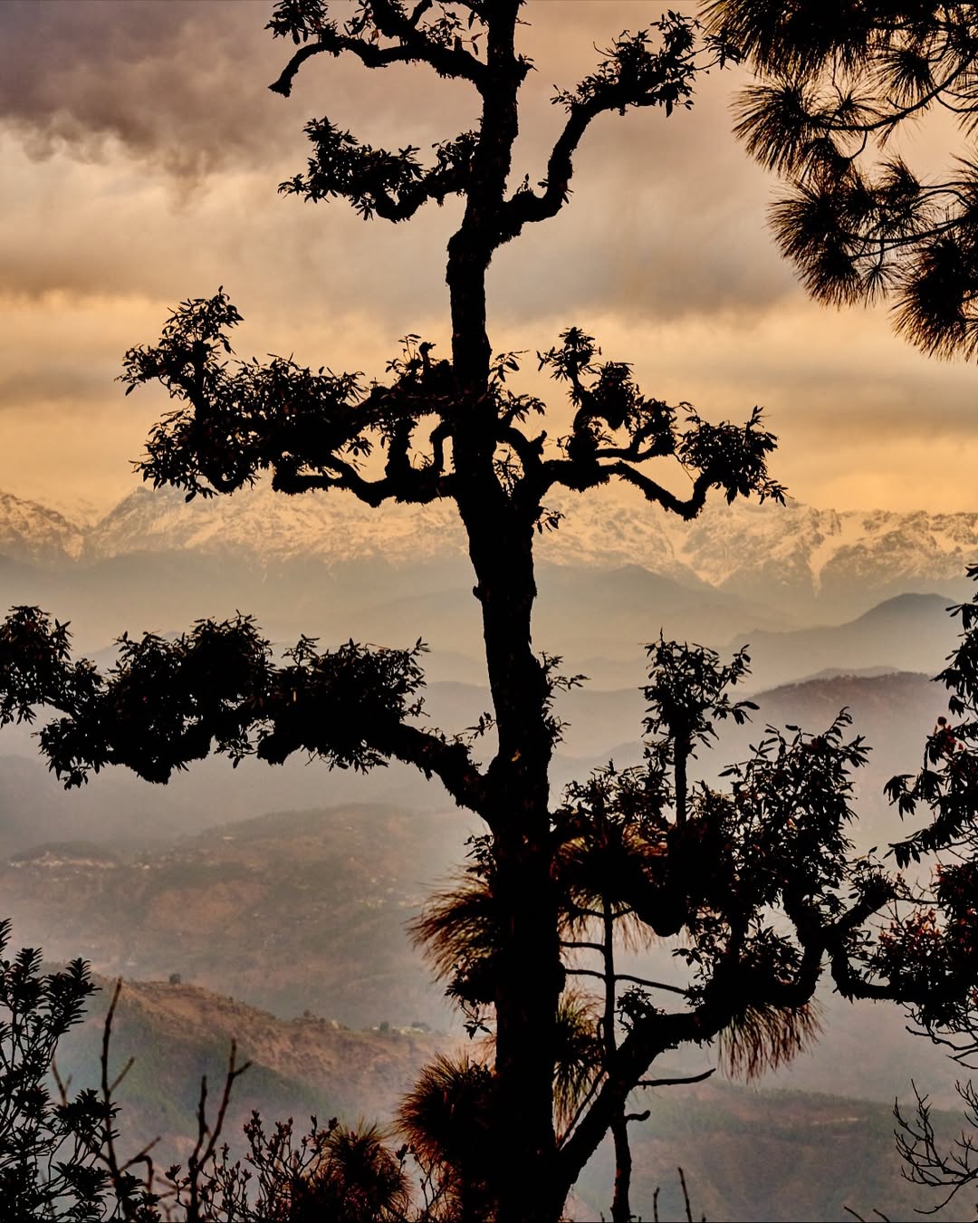 Gentl and Hyers (@gentlandhyers) photograph the cover story for @yolojournal, documenting their time in Kumaon and their stay across two Shakti properties, Panchachuli and Prana. In the Fall Issue No. 20, Andrea Gentl (@andreagentl) contributes a beautifully written reflection on their travels, capturing the rhythm of daily life and the experience of moving through the region.
⠀⠀⠀⠀⠀⠀⠀⠀⠀
#GentlandHyers #YoloJournal #LairdandGoodCompany