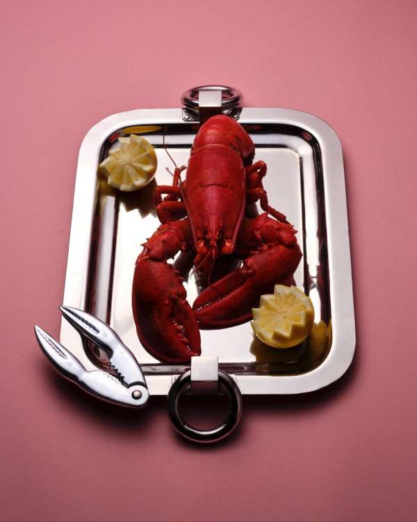 Lucia Bell-Epstein (@luuuuush) photographs ...