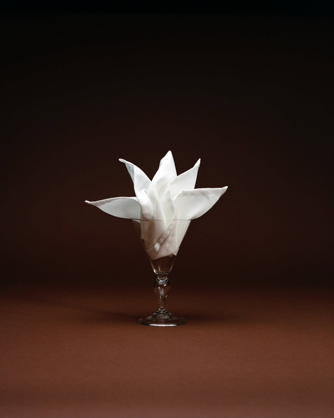 Lucia Bell-Epstein X Resy Nov. 25