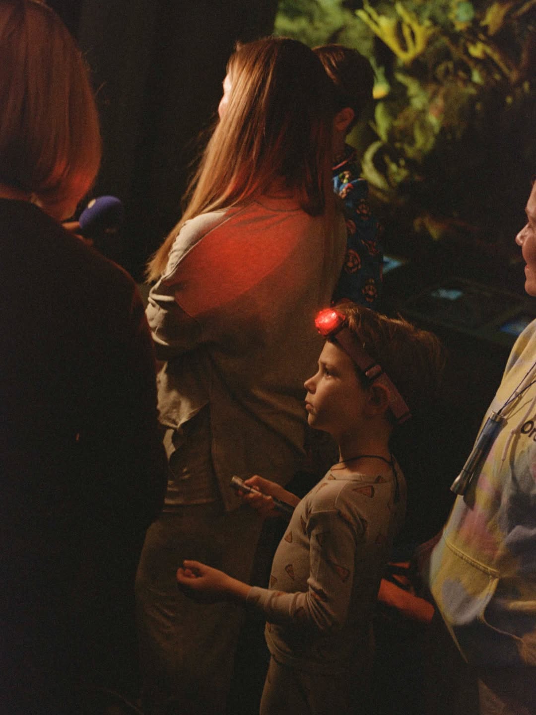 Lucia Bell-Epstein (@luuuuush) directs and photographs for The New York Times’ “A Night at the Museum” story, documenting the revival of the American Museum of Natural History’s (@amnh) beloved sleepover program after a five-year hiatus.
⠀⠀⠀⠀⠀⠀⠀⠀⠀
DP @andrewlprice 
Assist @xander.rapparport
⠀⠀⠀⠀⠀⠀⠀⠀⠀
#LuciaBellEpstein #Director #Photographer #NewYorkTimes #AmericanMuseumofNaturalHistory