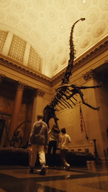 Lucia Bell-Epstein (@luuuuush) directs and ...