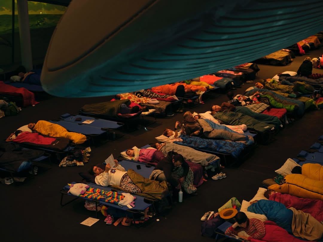 Lucia Bell-Epstein (@luuuuush) directs and photographs for The New York Times’ “A Night at the Museum” story, documenting the revival of the American Museum of Natural History’s (@amnh) beloved sleepover program after a five-year hiatus.
⠀⠀⠀⠀⠀⠀⠀⠀⠀
DP @andrewlprice 
Assist @xander.rapparport
⠀⠀⠀⠀⠀⠀⠀⠀⠀
#LuciaBellEpstein #Director #Photographer #NewYorkTimes #AmericanMuseumofNaturalHistory