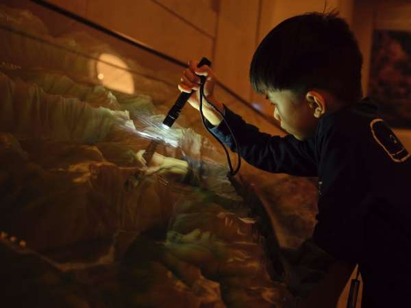 Lucia Bell-Epstein (@luuuuush) directs and ...