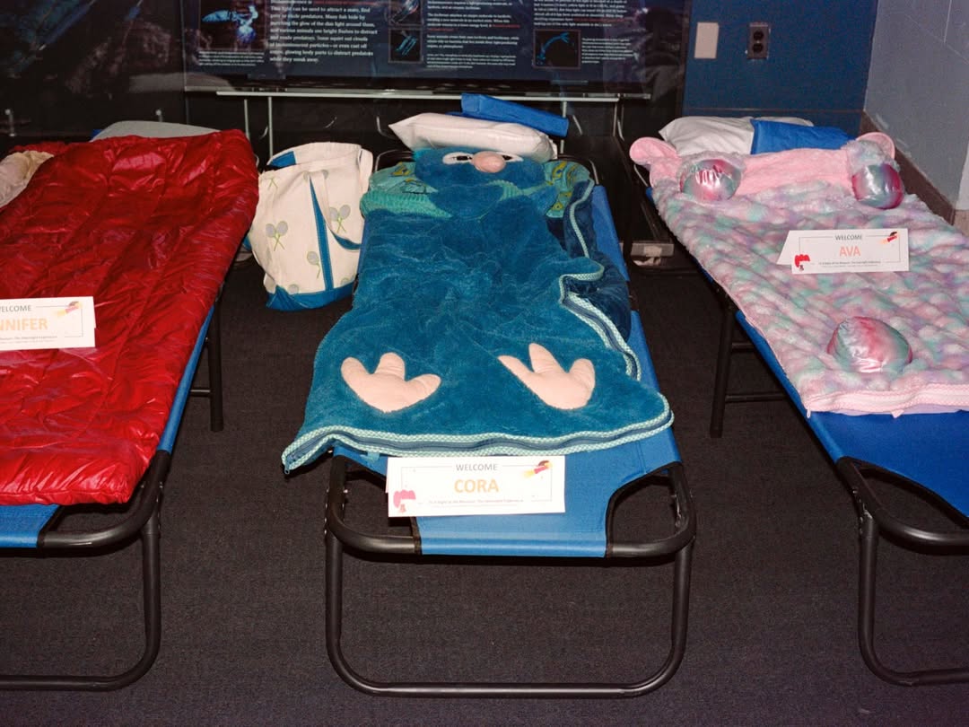 Lucia Bell-Epstein (@luuuuush) directs and photographs for The New York Times’ “A Night at the Museum” story, documenting the revival of the American Museum of Natural History’s (@amnh) beloved sleepover program after a five-year hiatus.
⠀⠀⠀⠀⠀⠀⠀⠀⠀
DP @andrewlprice 
Assist @xander.rapparport
⠀⠀⠀⠀⠀⠀⠀⠀⠀
#LuciaBellEpstein #Director #Photographer #NewYorkTimes #AmericanMuseumofNaturalHistory