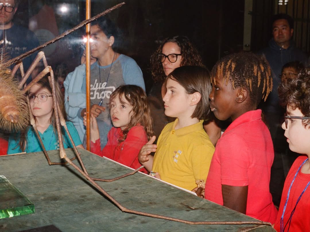 Lucia Bell-Epstein (@luuuuush) directs and photographs for The New York Times’ “A Night at the Museum” story, documenting the revival of the American Museum of Natural History’s (@amnh) beloved sleepover program after a five-year hiatus.
⠀⠀⠀⠀⠀⠀⠀⠀⠀
DP @andrewlprice 
Assist @xander.rapparport
⠀⠀⠀⠀⠀⠀⠀⠀⠀
#LuciaBellEpstein #Director #Photographer #NewYorkTimes #AmericanMuseumofNaturalHistory