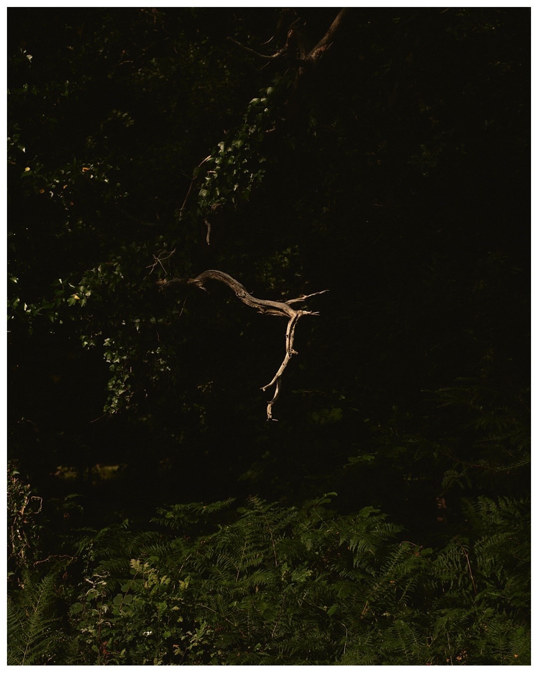 Rich Stapleton (@rvstapleton) photographs Castle Drogo for @holidayinteriorsgardens
⠀⠀⠀⠀⠀⠀⠀⠀⠀
Assistant: @alexandercollinsstudio
Stylist: @virginiebenarroch
Production: @producing_love
Editors: @sophiepinet @christopherniquet
Art Direction: @edouardmartinrilhac
Design: @marinmuteaud @sophihuff
⠀⠀⠀⠀⠀⠀⠀⠀⠀
#RichStapleton #Photographer #CastleDrogo #HolidayInteriorsandGardens