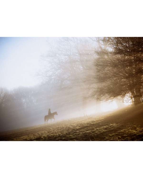 #TheArchiveEdit — Finn Beales (@finn) captu...