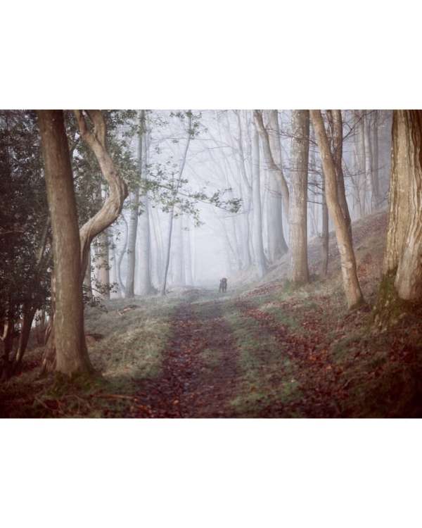 #TheArchiveEdit — Finn Beales (@finn) captu...