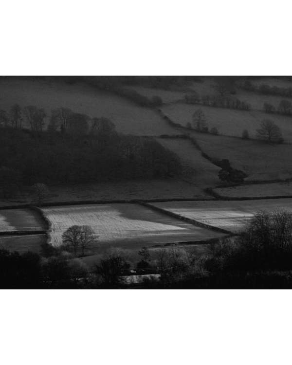 #TheArchiveEdit — Finn Beales (@finn) captu...