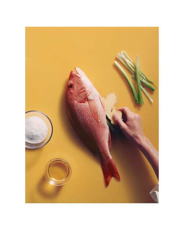 Lucia Bell-Epstein (@luuuuush) photographs ...