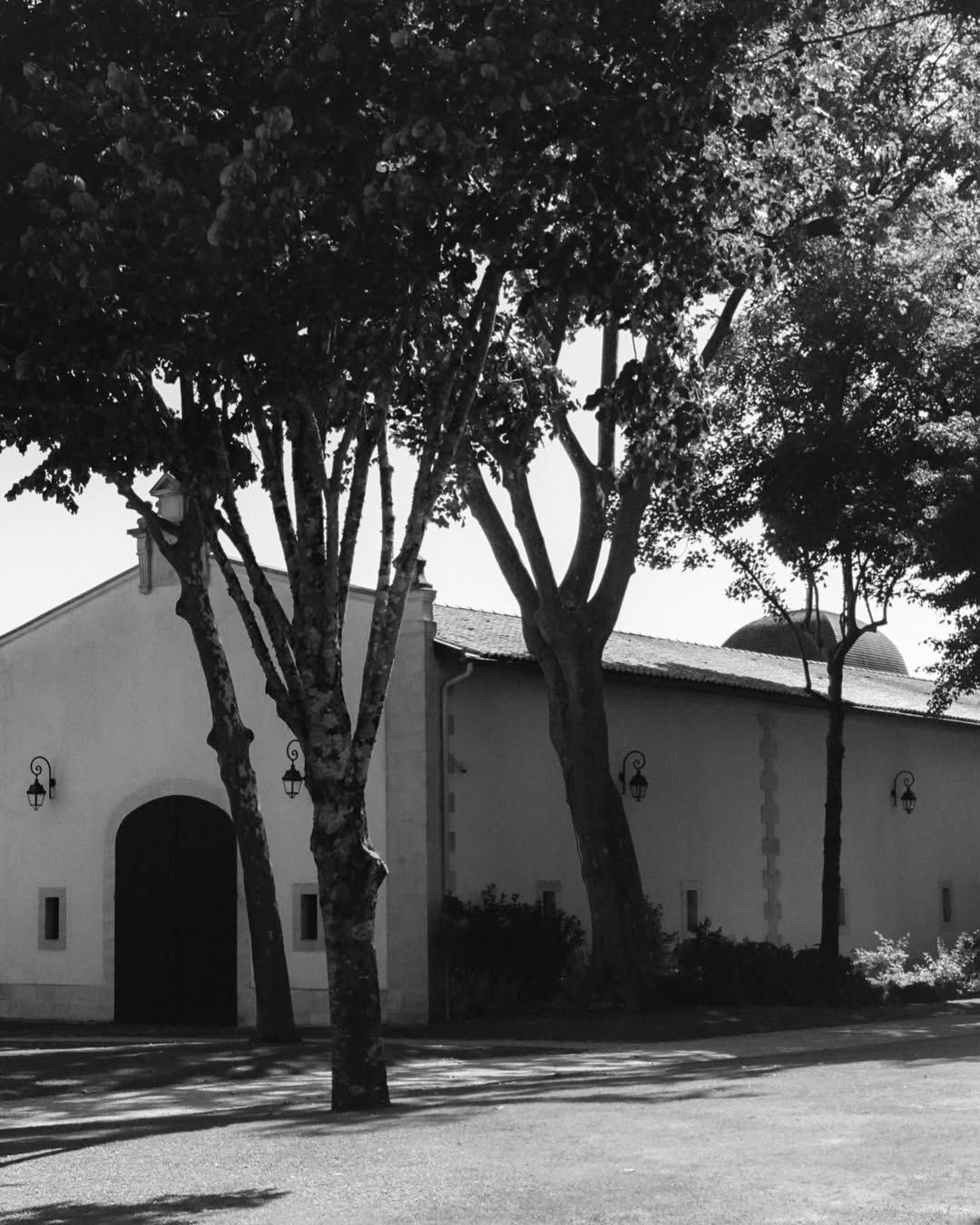 Maureen M. Evans (@maureenme) photographs two of France’s most storied wine estates: Château Rauzan-Ségla in Margaux and Château Canon in Saint-Émilion for @family_style.
⠀⠀⠀⠀⠀⠀⠀⠀⠀
Story by @monicamendi
⠀⠀⠀⠀⠀⠀⠀⠀⠀
#MaureenMEvans #Photographer #FamilyStyle