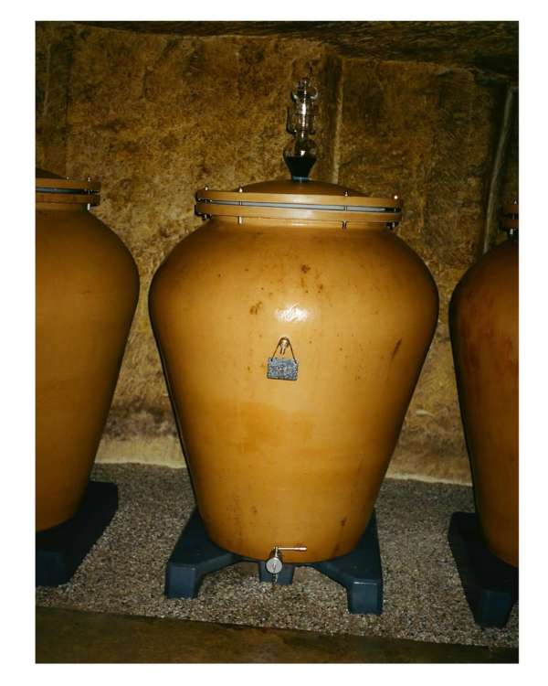 Maureen M. Evans (@maureenme) photographs t...