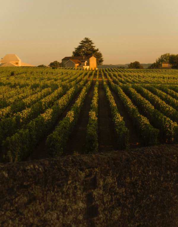 Maureen M. Evans (@maureenme) photographs t...