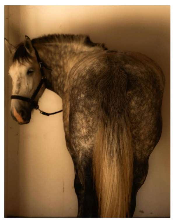 Maureen M. Evans (@maureenme) photographs t...