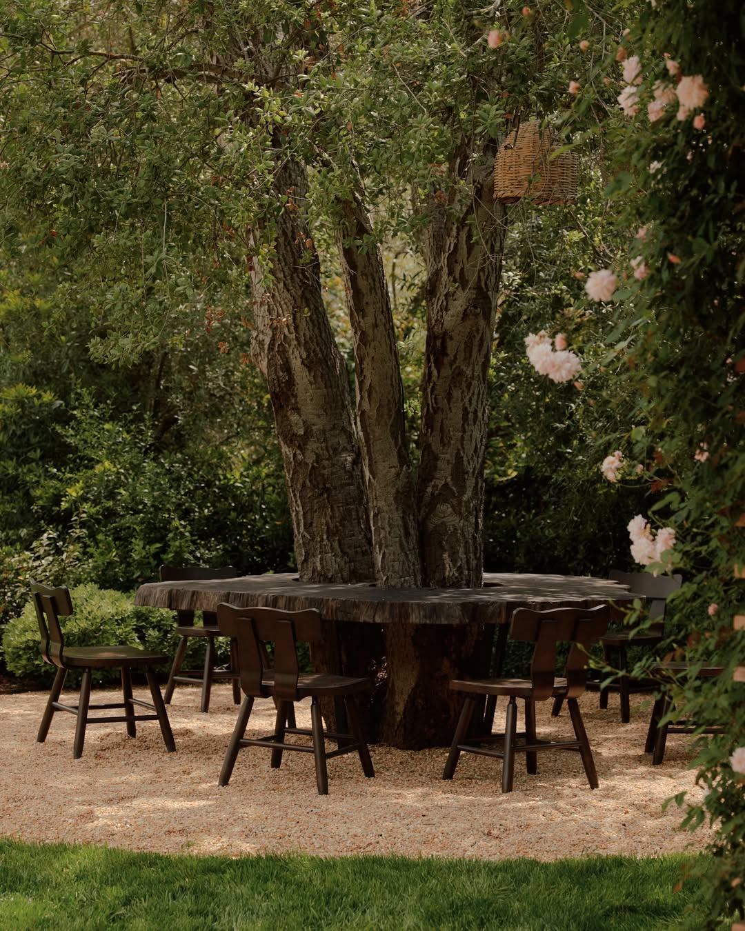 William Jess Laird (@william.jess.laird) photograp...