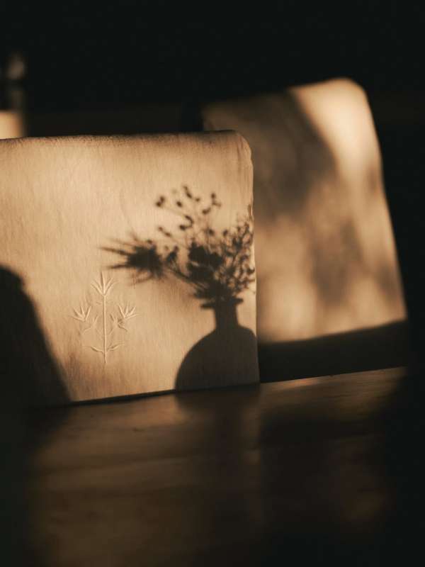 Finn Beales (@finn) photographs @thyme.engl...